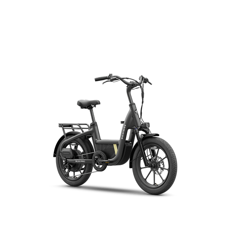 Segway MUXI Pro Cargo Electric Bike